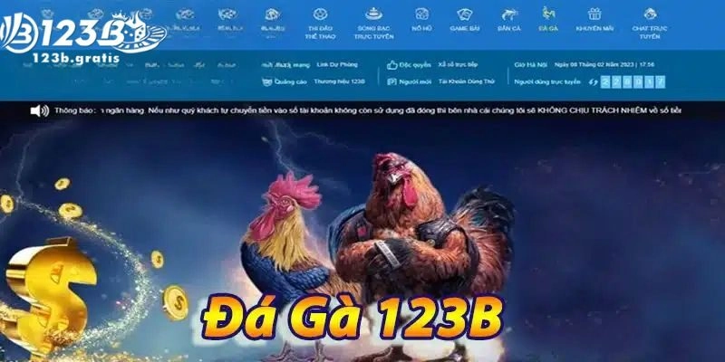 Đá gà 123b Đá gà 123b